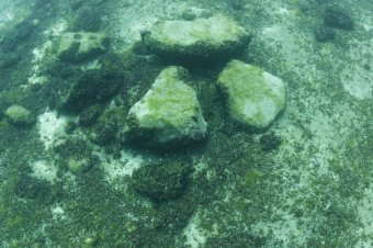 Images from the floor of Lake Huron that show where Paleo hunting blinds may have existed thousands of years ago. (Ashley Lemke / UMich)